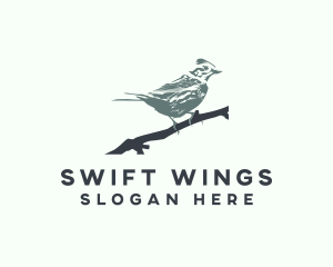 Swallow Bird Avian logo design