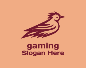 Aviary Lapwing Bird Logo
