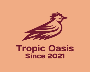 Tropic - Aviary Lapwing Bird logo design