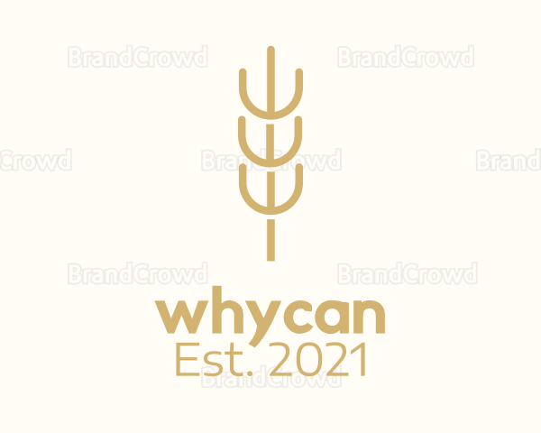 Organic Wheat Farm Logo