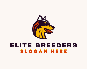 Husky Breeder Pet Care logo design