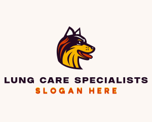 Husky Breeder Pet Care logo design