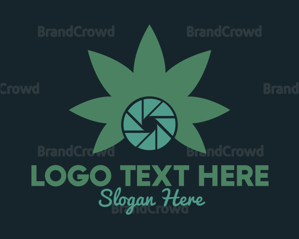 Cannabis Camera Aperture Logo