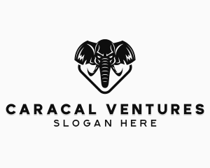 Corporate Elephant Trunk logo design