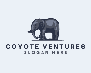 Wild African Elephant  logo design