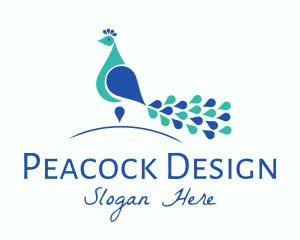 Peacock - Elegant Peacock Bird logo design