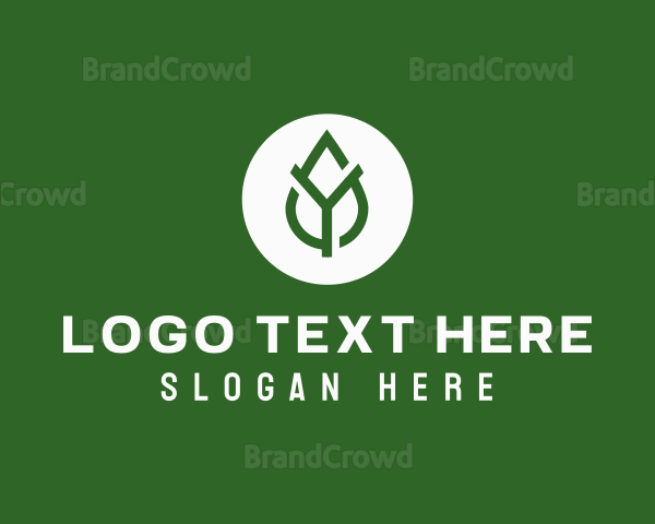 Organic Letter Y Droplet Logo