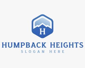 Mountain Hexagon Trekking logo design