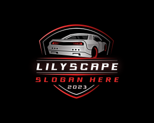 Car Detailing Garage logo design