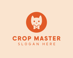 Orange Kitty Cat logo design