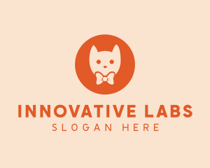 Orange Kitty Cat logo design