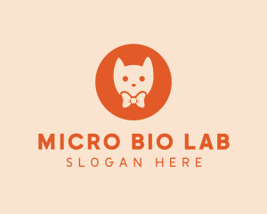 Orange Kitty Cat logo design