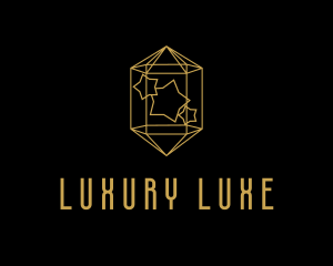 Luxurious  Star Gemstone  logo design