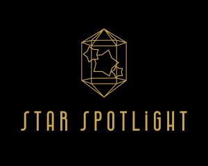 Luxurious  Star Gemstone  logo design