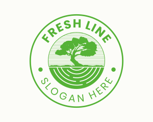 Old Green Tree  Emblem logo design