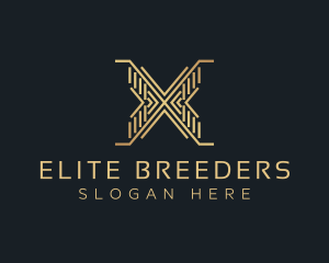 Luxury Premium Firm Letter X logo design