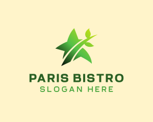 Vegan Star Restaurant  logo design