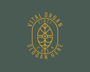 Environmental Leaf Plant  logo design