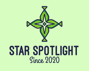 Natural Cross & Star logo design