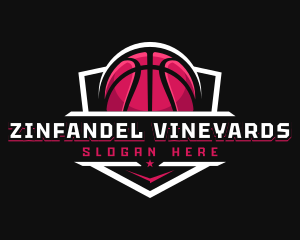 Sport Basketball Shield logo design