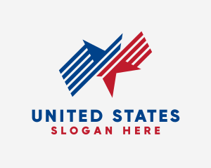 States - Political USA Star logo design