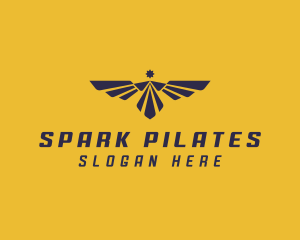 Eagle Wings Pilot Academy Logo