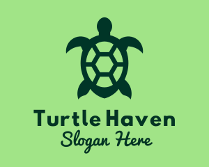 Green Sea Turtle  logo design