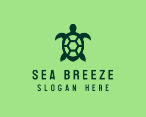 Green Sea Turtle  logo design