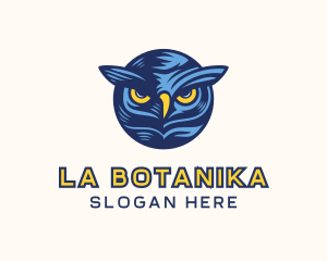Owl Bird Nocturnal Logo
