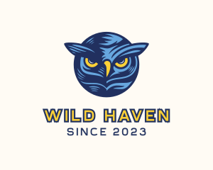 Owl Bird Nocturnal logo design