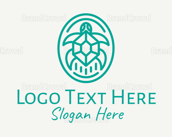 Teal Tortoise Turtle Logo