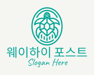 Teal Tortoise Turtle  logo design