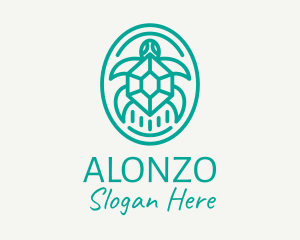 Teal Tortoise Turtle  logo design