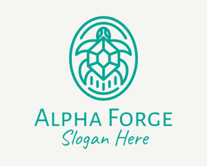 Teal Tortoise Turtle  logo design