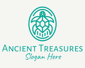 Teal Tortoise Turtle  logo design