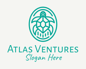 Teal Tortoise Turtle  logo design