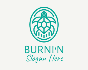 Teal Tortoise Turtle  logo design