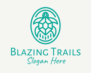 Teal Tortoise Turtle  logo design