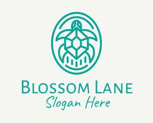 Teal Tortoise Turtle  logo design