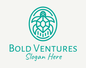 Teal Tortoise Turtle  logo design