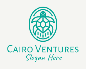 Teal Tortoise Turtle  logo design