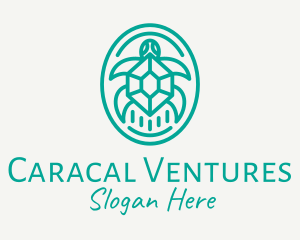 Teal Tortoise Turtle  logo design