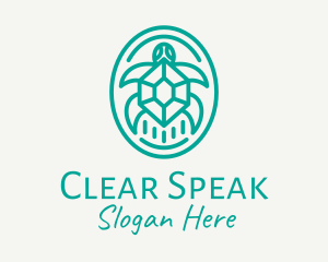 Teal Tortoise Turtle  logo design