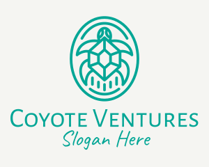 Teal Tortoise Turtle  logo design