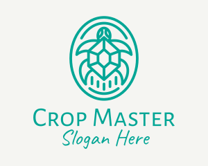 Teal Tortoise Turtle  logo design