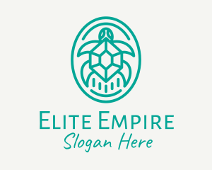 Teal Tortoise Turtle  logo design