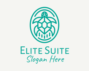 Teal Tortoise Turtle  logo design