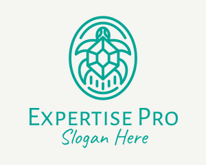 Teal Tortoise Turtle  logo design