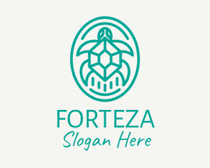 Teal Tortoise Turtle  logo design