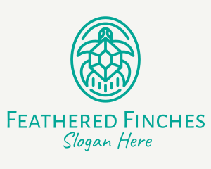 Teal Tortoise Turtle  logo design